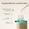 امپول تقویت سددفاعی اکسیس وای artichoke intensive skin barrier ampoule 30ml axis y 