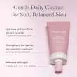 شوینده رزهیپ و کیک برنج آرنسیا ARENCIA Rosehip Rice Cake Cleanser