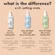 اسپری فیکس ۱۶ ساعته الف Stay All Night Micro-Fine Setting Mist