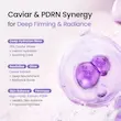 میست سرم ژلی خاویار PDRN بایودنس | Biodance PDRN Caviar Gel Serum Mist