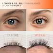 سرم تقویت مژه حجم دهنده و بلند کننده لیلیوئه lilyeve GROWTURN Eyelash Growth Serum