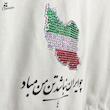 تیشرت باکسی ایران نگینی کد 117