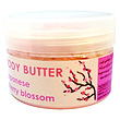 کره بدن طبیعی ( بادی باتر ) شکوفه گیلاس ژاپنی ایمنس هربال مدل body butter وزن 110 گرم