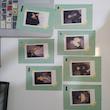 ست پولاروید | .BTS BE Polaroids GREEN VER