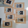 ست پولاروید | .BTS BE Polaroids CREAMY VER