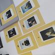 ست پولاروید | .BTS BE Polaroids CREAMY VER