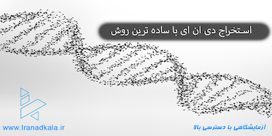 استخراج دی ان ای با ساده ترین روش | آزمایش ها جذاب