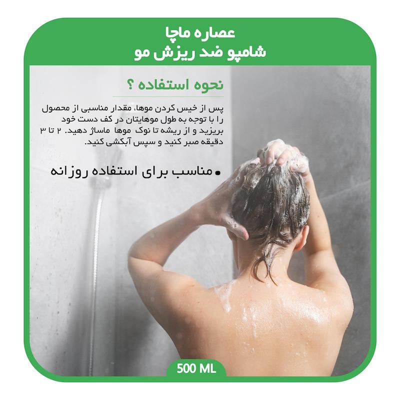 شامپو ضد ریزش مو با عصاره چای ماچا باتچی - حجم دهنده و مغذی حاوی گلوتاتیون و جینکو بیلوبا 500 میلی لیتر