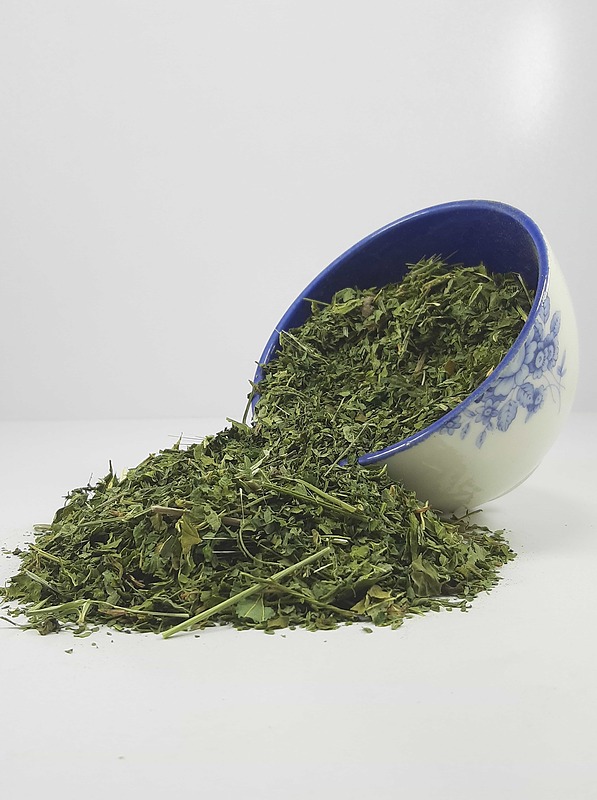 گزنه