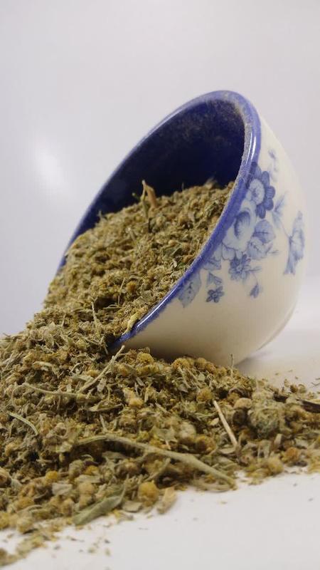 افسنطین تلخ