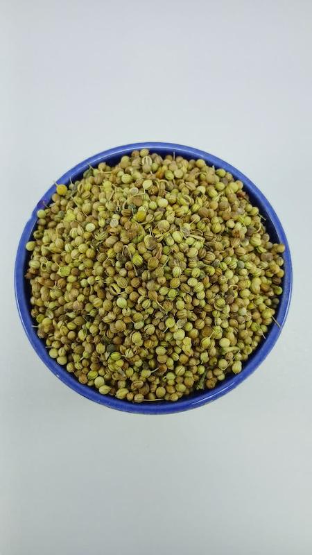 تخم گشنیز