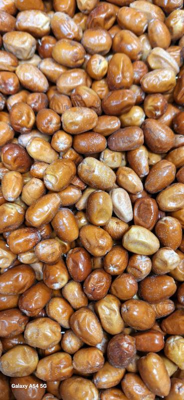 سنجد نرم و گوشتی(سایز متوسط)
