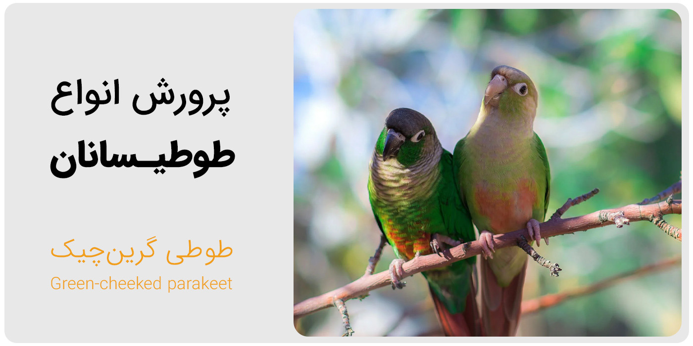 slide-image-undefined