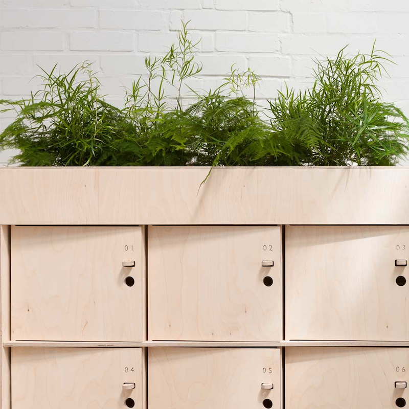 فین لاکر پِلَنتِر | Fin Locker Planter