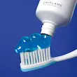 خمیر دندانOptifresh Maximum Fresh Toothpasteکد محصول:49128