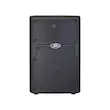 Peavey PVXp 10 DSP