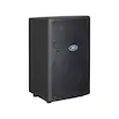Peavey PVXp 10 DSP