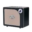 MOOER Hornet 15