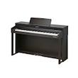 Kurzweil CUP 310