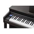 Kurzweil CUP 310