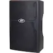 Peavey PVX P12
