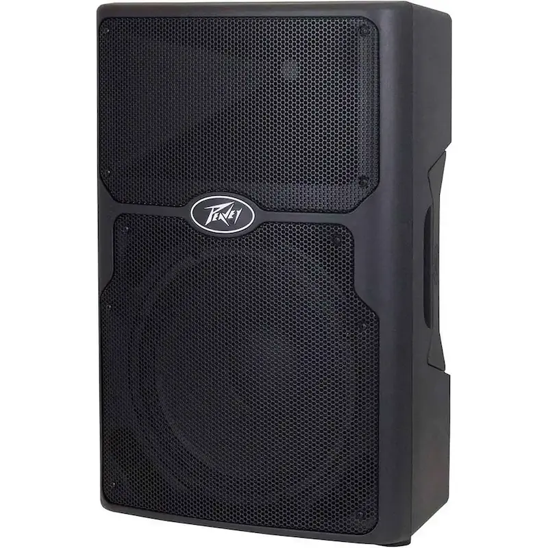 Peavey PVX P12