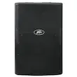 Peavey PVX P15