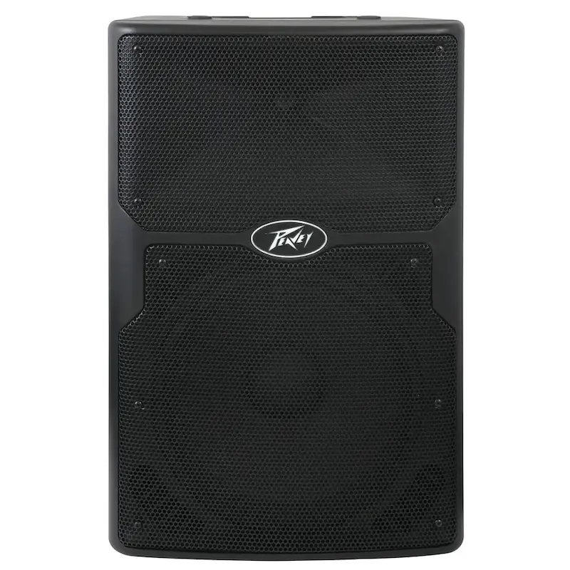 Peavey PVX P15
