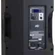 Peavey PVX P15