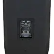 Peavey SP4