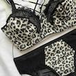 ست شورت و سوتین توری فانتزی هارنس دار سایز 75 پلنگی کد 53918