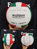 🏐 توپ والیبال molden