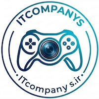 It Company's
