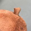 عروسک بلوط