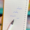 خودکار پاکندار لبوبو
