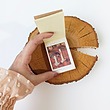 دفترچه استیکر قارچ
