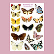 پک برچسب butterfly 1