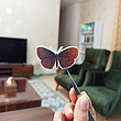 پک برچسب butterfly 1