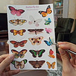 پک برچسب butterfly 2
