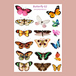 پک برچسب butterfly 2