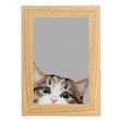 آینه مستطیل طرح گربه قهوه ای