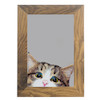 آینه مستطیل طرح گربه قهوه ای
