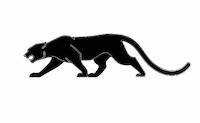 فروشگاه جگوار | Jaguarteam