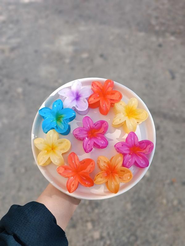 کلیپس پلومریا