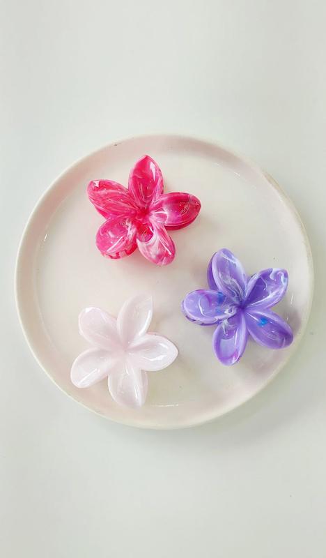 کلیپس پلومریا سرامیکی