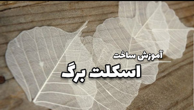 آموزش ساخت اسکلت برگ 