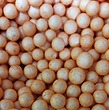 یونولیت بسته بندی گلبهی