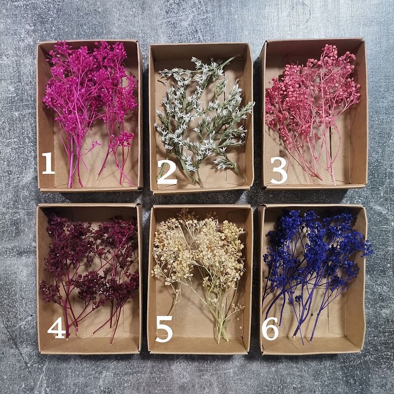  گل خشک تزئینی جعبه ای