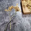  گل خشک تزئینی جعبه ای