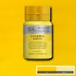 رنگ اکریلیک 250 میل وینزور گالریا/ Cadmium Yellow Medium Hue